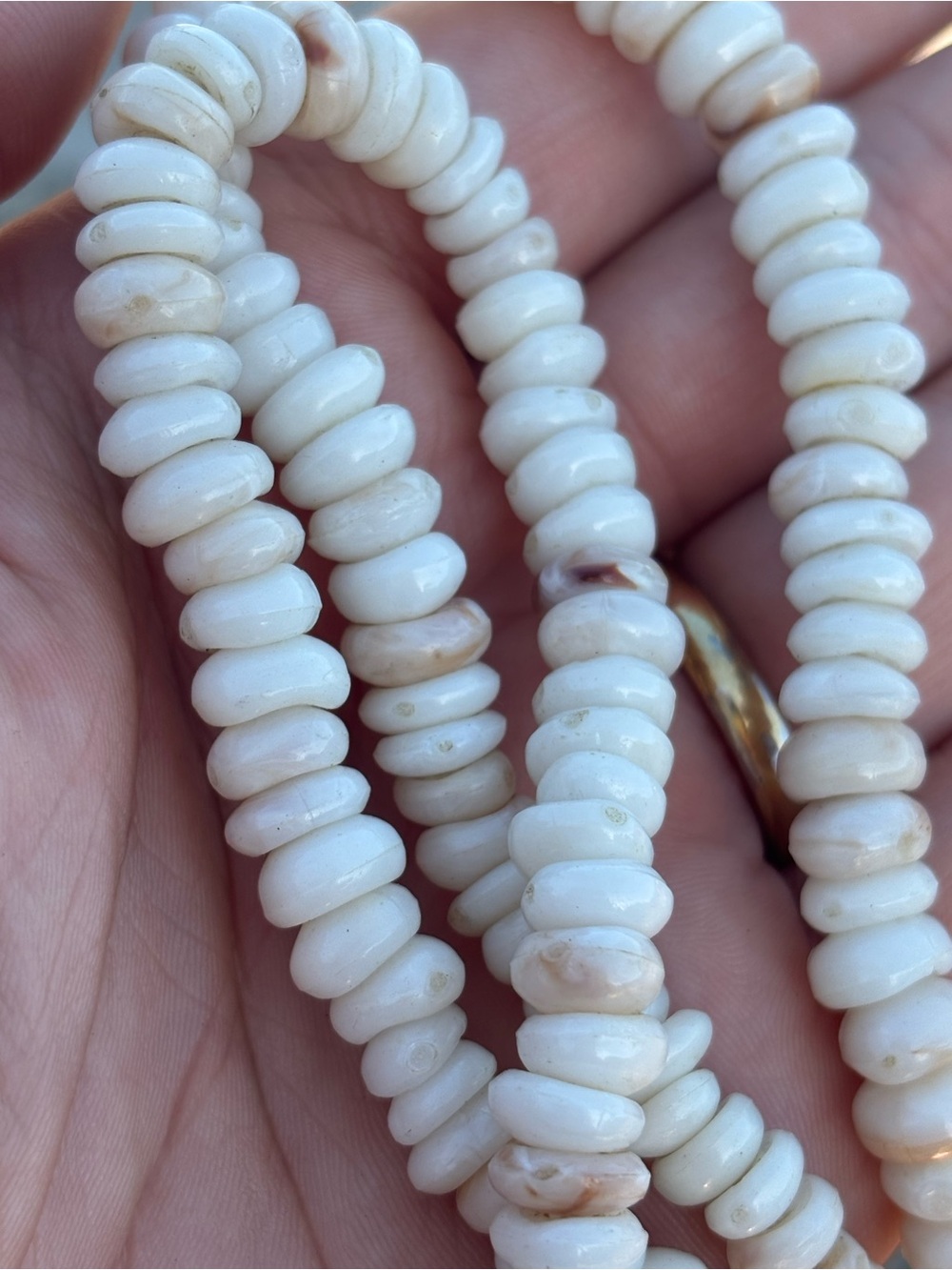 Vintage Genuine White Puka Shell Unisex Necklace Natural Shell • Barrel Clasp